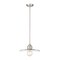 Z-Lite Paloma Pendant, 1-Light, 14 In.W x 6.25 In.H, Brushed Nickel/Clear 821P14-BN - alternate 1